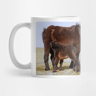 Wild Shetland Ponies - Mare & Foal Mug